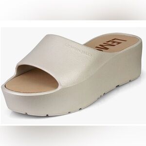 Women’s Lemon Jelly Sunny Sandals Size 40 in Warm Grey